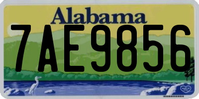 AL license plate 7AE9856