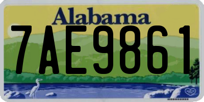 AL license plate 7AE9861