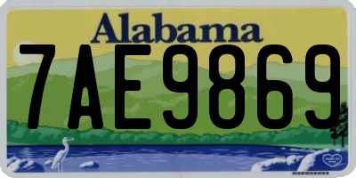 AL license plate 7AE9869