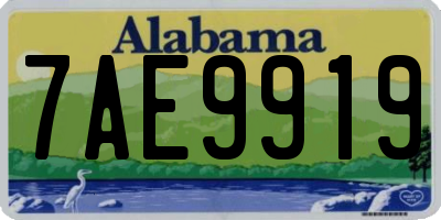 AL license plate 7AE9919