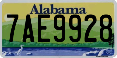 AL license plate 7AE9928
