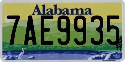 AL license plate 7AE9935