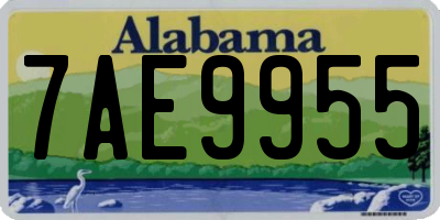 AL license plate 7AE9955