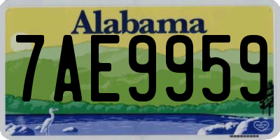 AL license plate 7AE9959