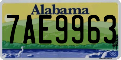 AL license plate 7AE9963