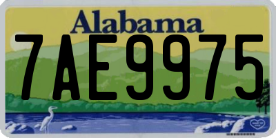 AL license plate 7AE9975
