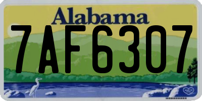 AL license plate 7AF6307