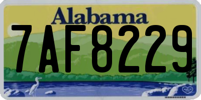 AL license plate 7AF8229