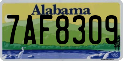 AL license plate 7AF8309