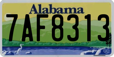 AL license plate 7AF8313