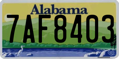 AL license plate 7AF8403