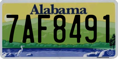 AL license plate 7AF8491
