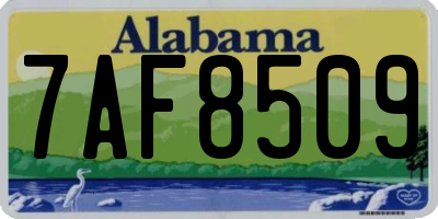 AL license plate 7AF8509