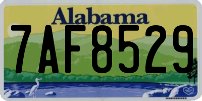AL license plate 7AF8529