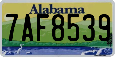 AL license plate 7AF8539