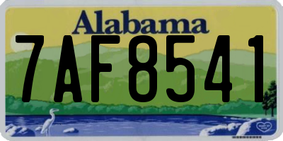 AL license plate 7AF8541