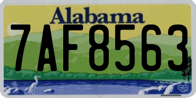 AL license plate 7AF8563