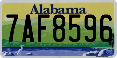 AL license plate 7AF8596