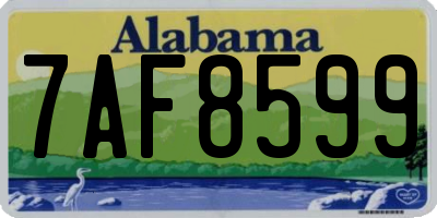 AL license plate 7AF8599