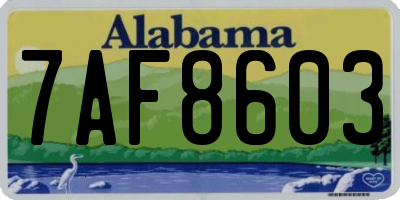 AL license plate 7AF8603