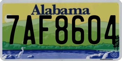 AL license plate 7AF8604