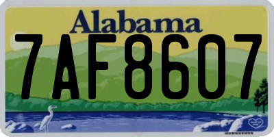 AL license plate 7AF8607