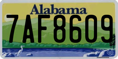 AL license plate 7AF8609