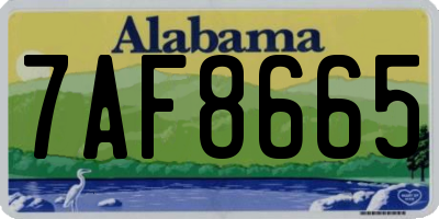 AL license plate 7AF8665