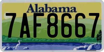 AL license plate 7AF8667