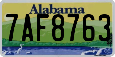 AL license plate 7AF8763