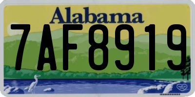 AL license plate 7AF8919