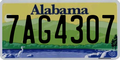 AL license plate 7AG4307