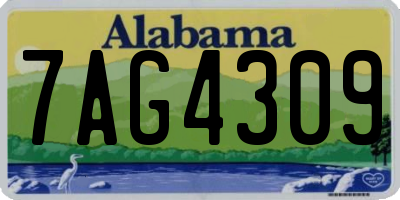 AL license plate 7AG4309