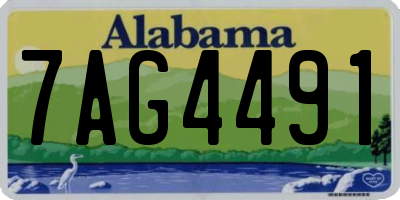 AL license plate 7AG4491