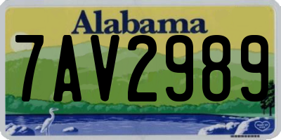 AL license plate 7AV2989