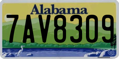 AL license plate 7AV8309