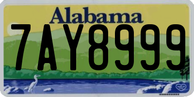 AL license plate 7AY8999