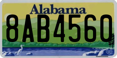 AL license plate 8AB4560