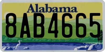 AL license plate 8AB4665