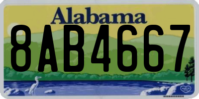 AL license plate 8AB4667