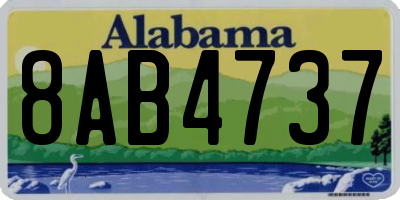 AL license plate 8AB4737
