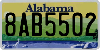 AL license plate 8AB5502