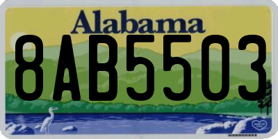 AL license plate 8AB5503