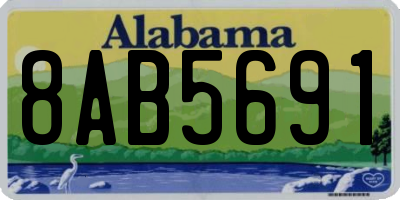 AL license plate 8AB5691