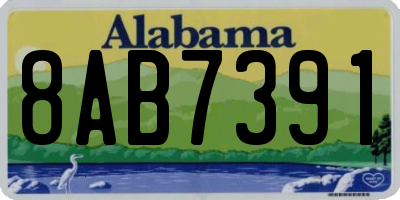 AL license plate 8AB7391