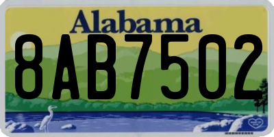 AL license plate 8AB7502