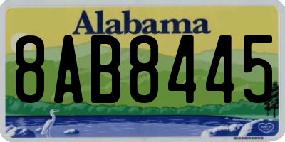 AL license plate 8AB8445