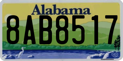 AL license plate 8AB8517
