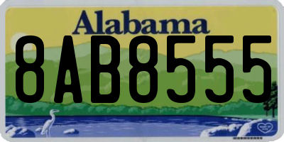 AL license plate 8AB8555