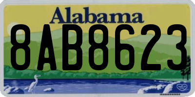 AL license plate 8AB8623